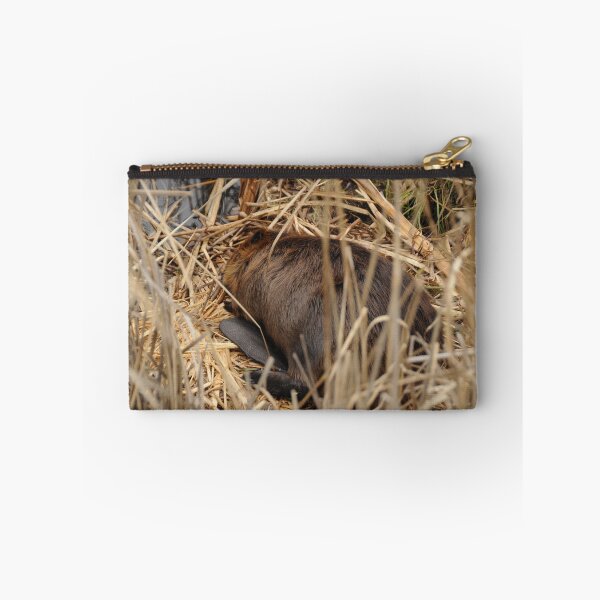 Item preview, Sleeping beaver designed and sold by Sometimes-store.