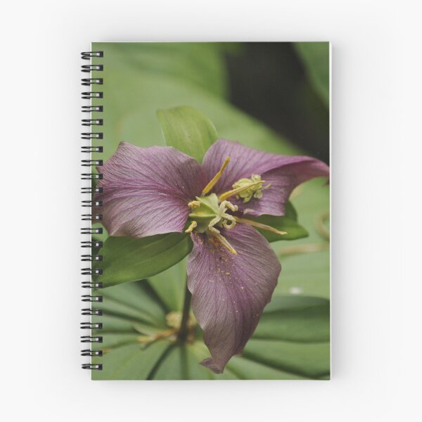Item preview, Wild Red Trillium designed and sold by Sometimes-store.