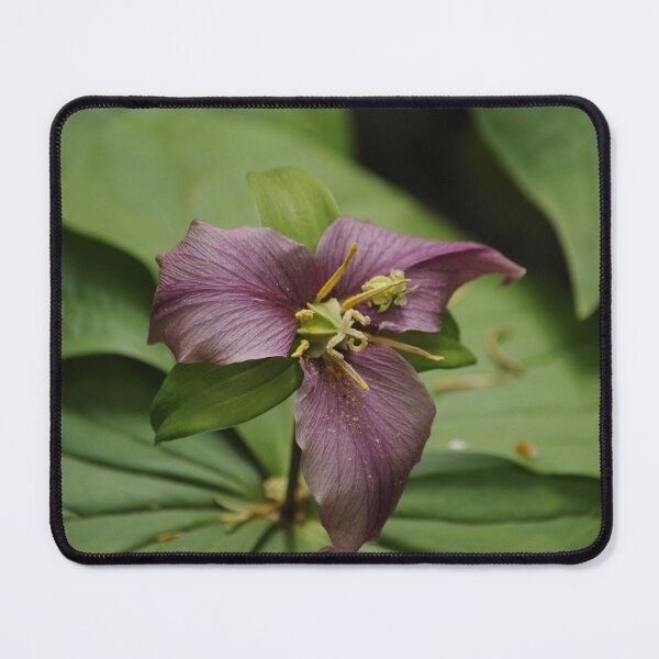 Item preview, Wild Red Trillium designed and sold by Sometimes-store.