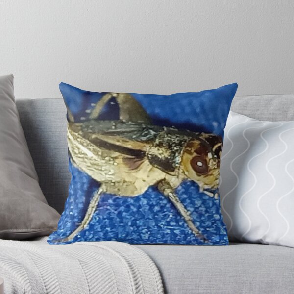 Item preview, A macro cricket insect photography designed and sold by AWADHESH  CHAURASIA.