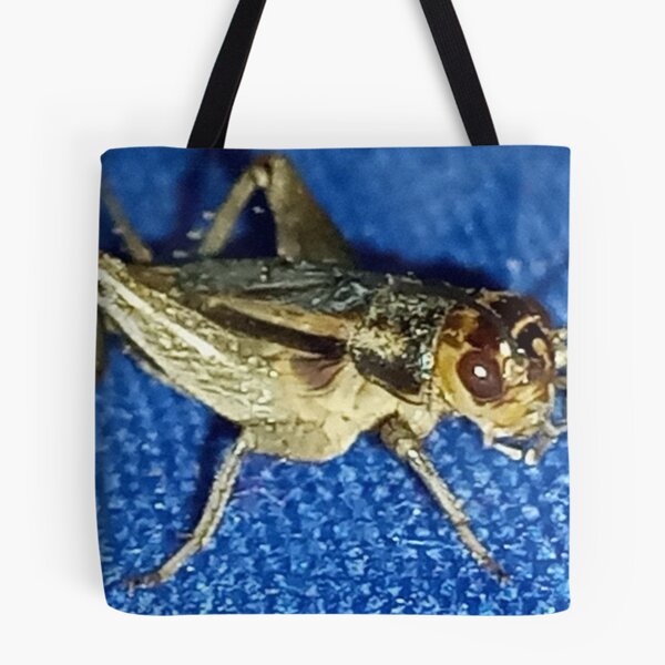 Item preview, A macro cricket insect photography designed and sold by AWADHESH  CHAURASIA.