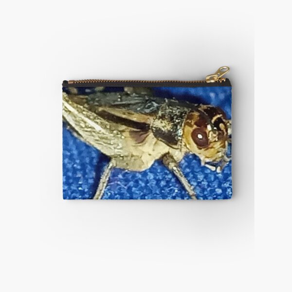 Item preview, A macro cricket insect photography designed and sold by AWADHESH  CHAURASIA.