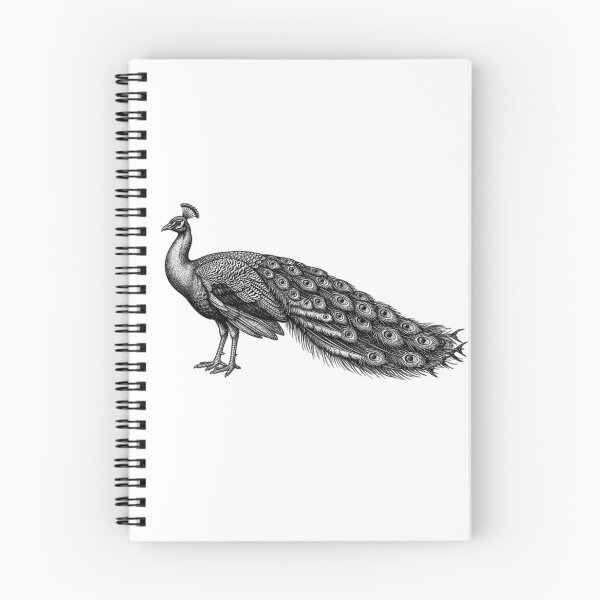 Item preview, Peacock - Realistic Black and White designed and sold by Minimalisticaly.