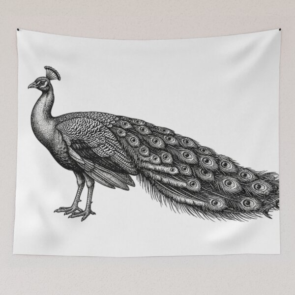 Item preview, Peacock - Realistic Black and White designed and sold by Minimalisticaly.
