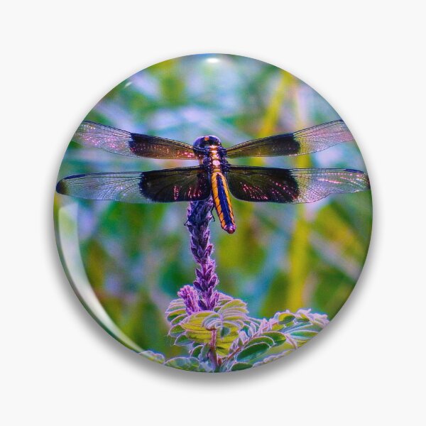 Item preview, Dragonfly Beauty designed and sold by South 500 Photography.