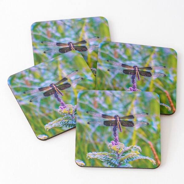 Item preview, Dragonfly Beauty designed and sold by South 500 Photography.