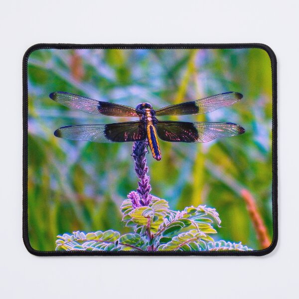 Item preview, Dragonfly Beauty designed and sold by South 500 Photography.