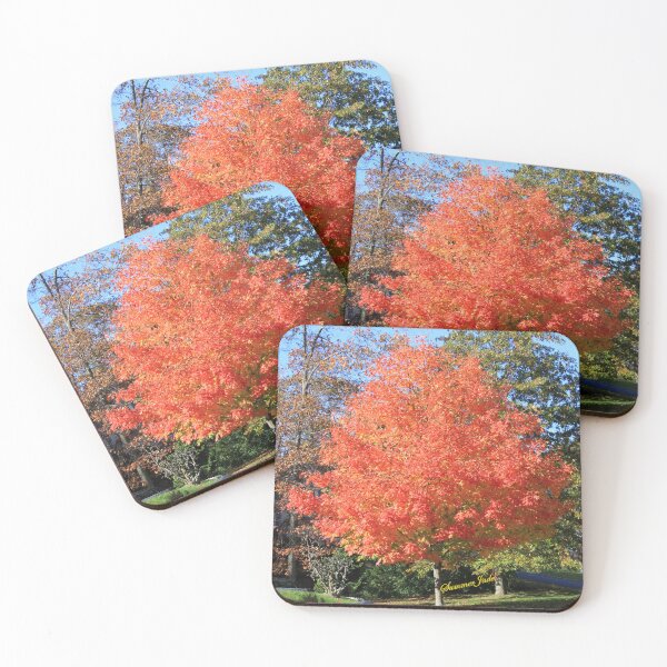 Item preview, Showstopper ~ A Maple in Fall Glory designed and sold by SummerJade.