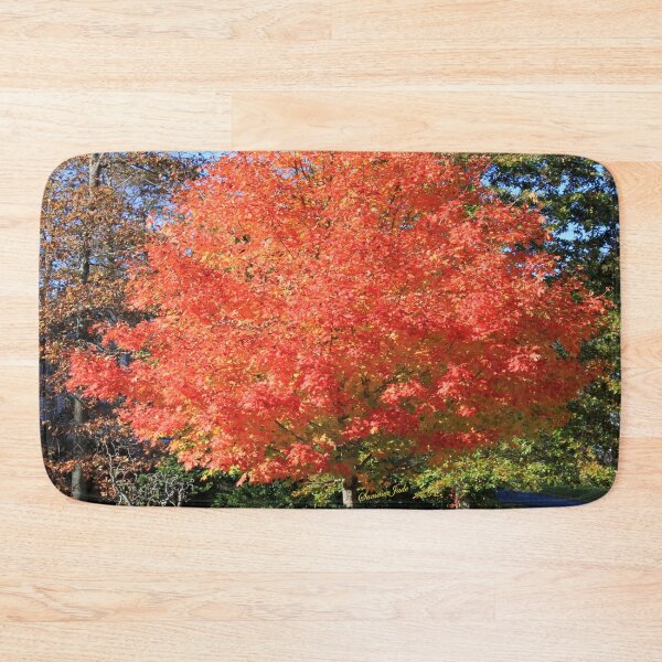 Item preview, Showstopper ~ A Maple in Fall Glory designed and sold by SummerJade.
