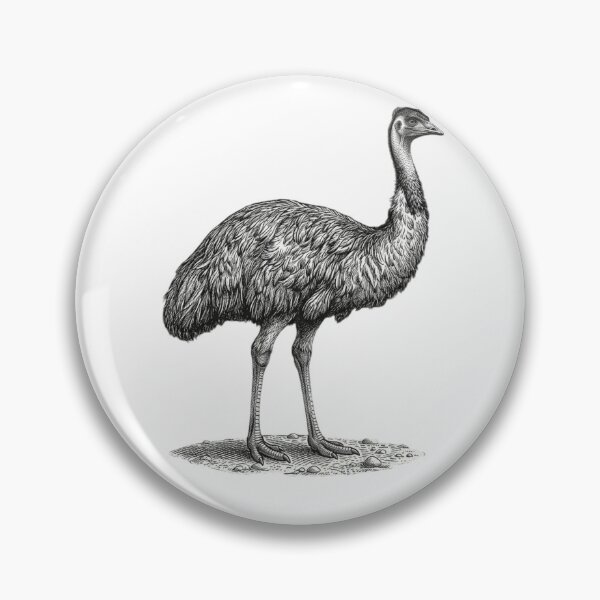Item preview, Ostrich - Realistic Minimalistic Black and White designed and sold by Minimalisticaly.
