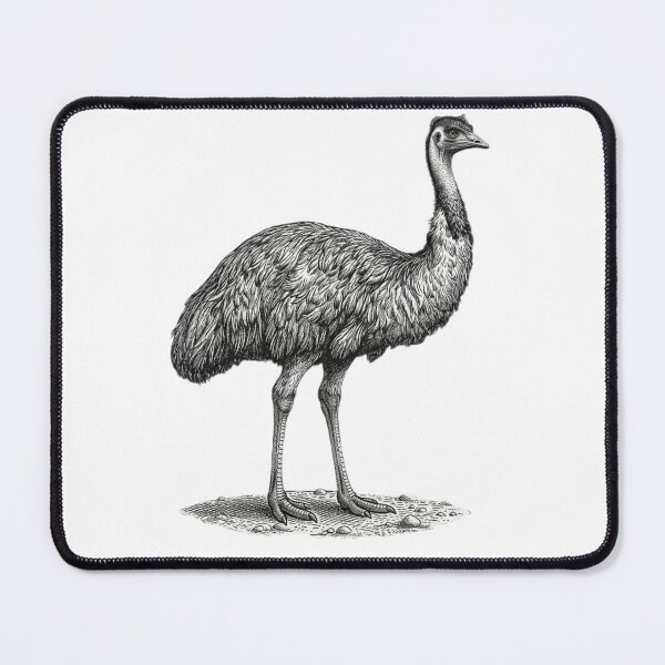 Item preview, Ostrich - Realistic Minimalistic Black and White designed and sold by Minimalisticaly.