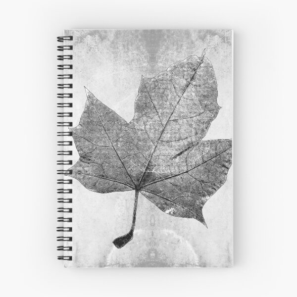 Item preview, Dried Maple Leaf Botanical Study designed and sold by Ghoul Enterprises.