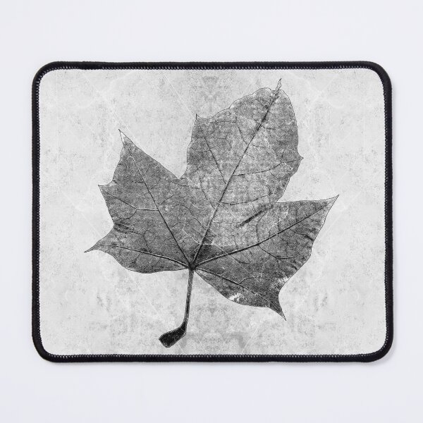 Item preview, Dried Maple Leaf Botanical Study designed and sold by Ghoul Enterprises.