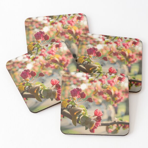 Item preview, Authenticity Recognizes Authenticity designed and sold by Chandler Bush Studio.