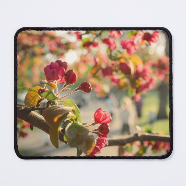 Item preview, Authenticity Recognizes Authenticity designed and sold by Chandler Bush Studio.
