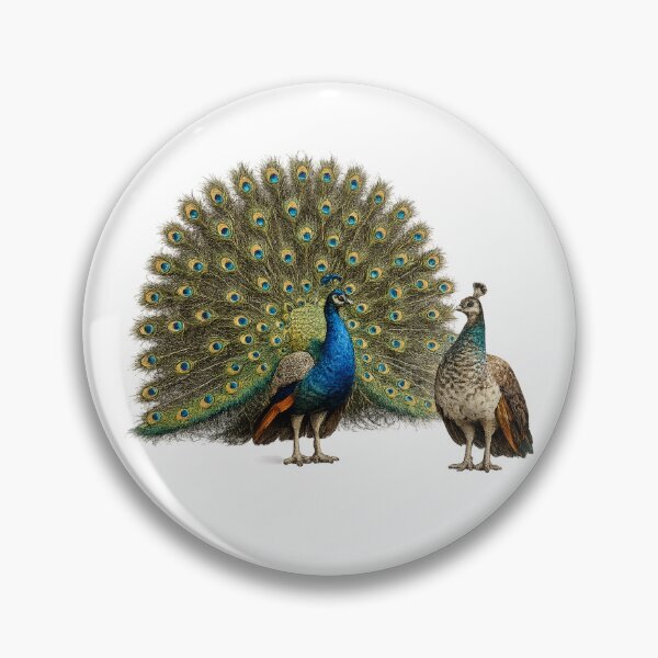 Item preview, Realistic Peacock Pair – Majestic Wildlife Bird Art designed and sold by SmikiM.
