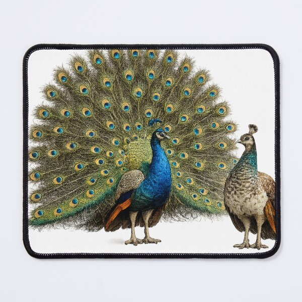 Item preview, Realistic Peacock Pair – Majestic Wildlife Bird Art designed and sold by SmikiM.