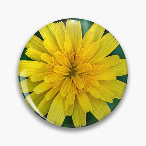 Item preview, Dandelion flower on grass designed and sold by danielasynner.