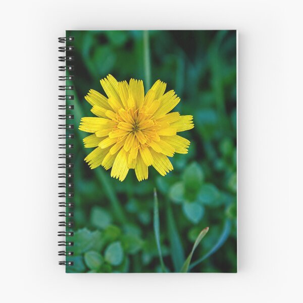 Item preview, Dandelion flower on grass designed and sold by danielasynner.