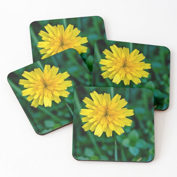 Item preview, Dandelion flower on grass designed and sold by danielasynner.
