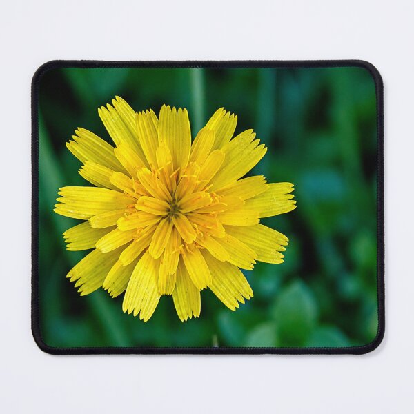 Item preview, Dandelion flower on grass designed and sold by danielasynner.