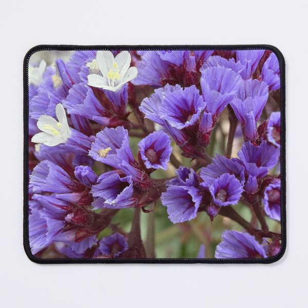Item preview, Coastal Flowers designed and sold by Betsy Phillips.