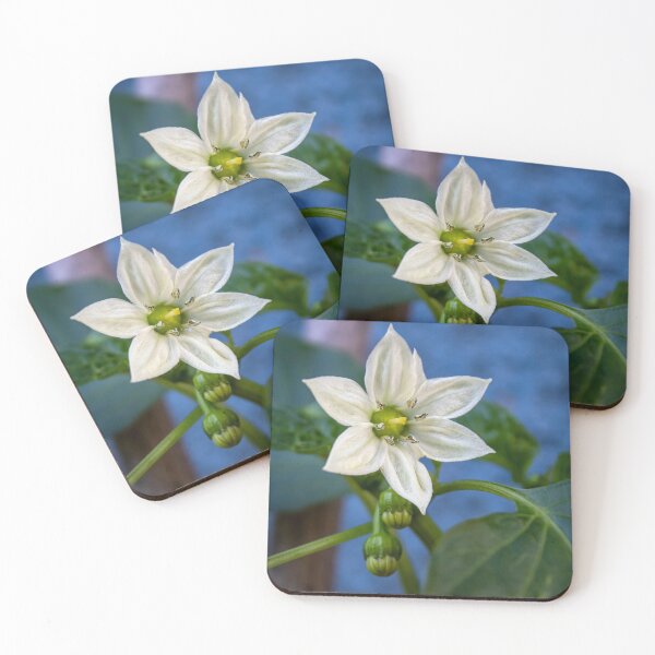 Item preview, Bell pepper flower and buds designed and sold by danielasynner.