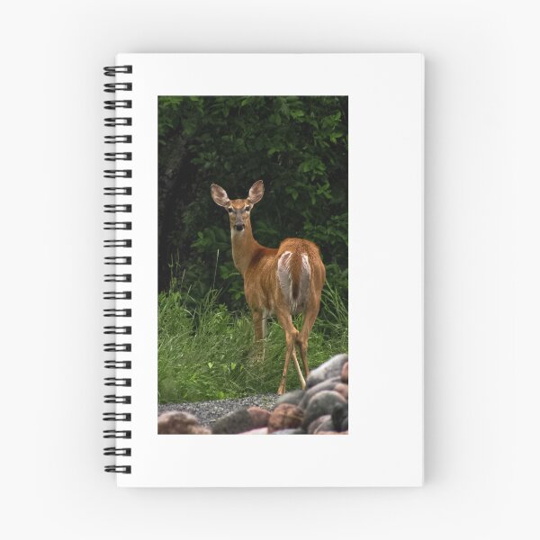 Item preview, A white tailed deer  designed and sold by Naguss.