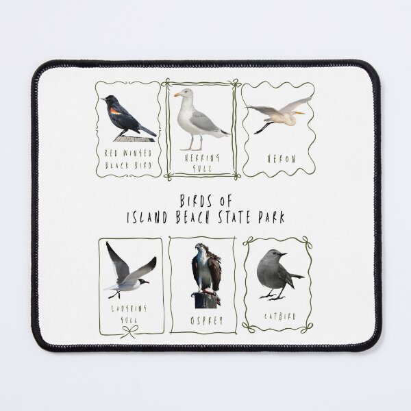 Item preview, Birds in frames - birds of island beach state park NJ designed and sold by LAJdesigns.