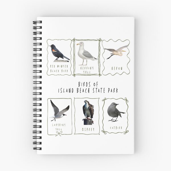 Item preview, Birds in frames - birds of island beach state park NJ designed and sold by LAJdesigns.