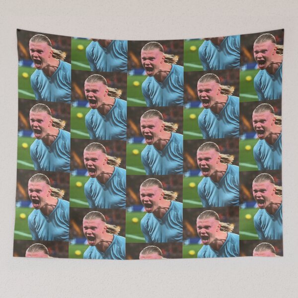 Item preview, HAALAND MEME FUNNY designed and sold by delllsdesigns.