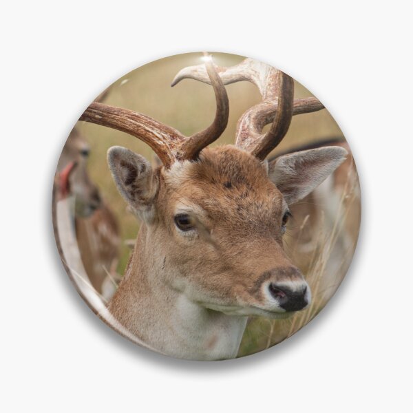 Item preview, Red deer from Dublin designed and sold by danielasynner.