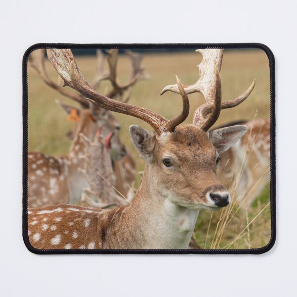 Item preview, Red deer from Dublin designed and sold by danielasynner.