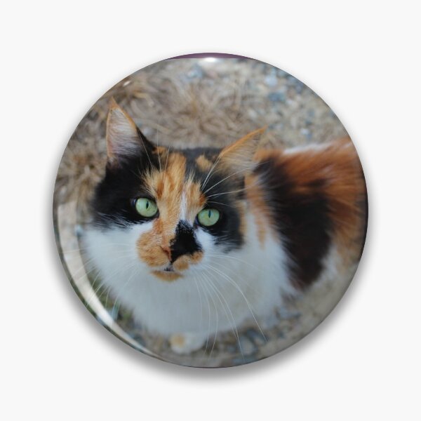 Item preview, Gorgeous Fluffy Calico Cat Mom Design designed and sold by Blackfire's Witchy Wonders.
