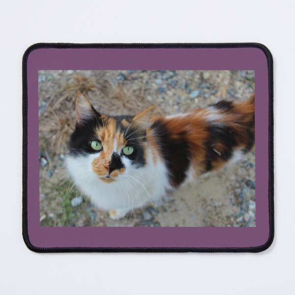 Item preview, Gorgeous Fluffy Calico Cat Mom Design designed and sold by Blackfire's Witchy Wonders.