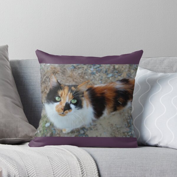 Item preview, Gorgeous Fluffy Calico Cat Mom Design designed and sold by Blackfire's Witchy Wonders.