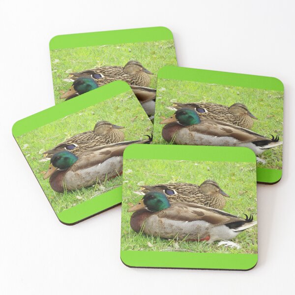 Item preview, Beautiful Pair of Resting Mallard Ducks designed and sold by Blackfire's Witchy Wonders.