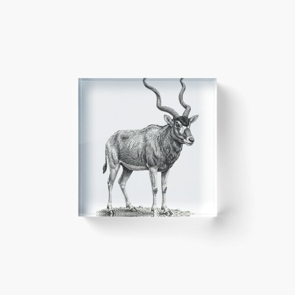 Item preview, Addax - Realistic minimalistic black and white  designed and sold by Minimalisticaly.