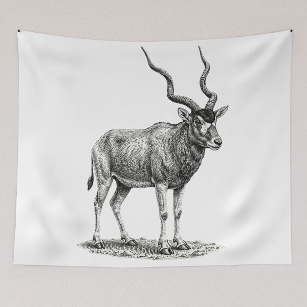 Item preview, Addax - Realistic minimalistic black and white  designed and sold by Minimalisticaly.