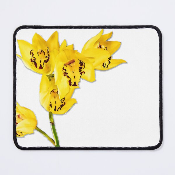 Item preview, Yellow Cymbidium Orchids with Dark Red Centers designed and sold by Vibrantiz-Flora.
