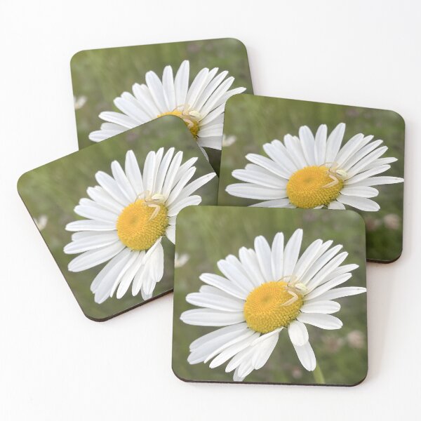 Item preview, Crab Spider Resting On A Vibrant Wild Daisy | Crab Spider Wild Daisy Wall Art Home Decor designed and sold by RootedArts.