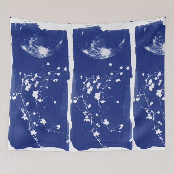 Aperçu de l'œuvre Cyanotype (6) créée et vendue par joneagoitz.