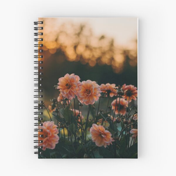 Item preview, The Shy Sun behind The Daisy designed and sold by Markofmares.