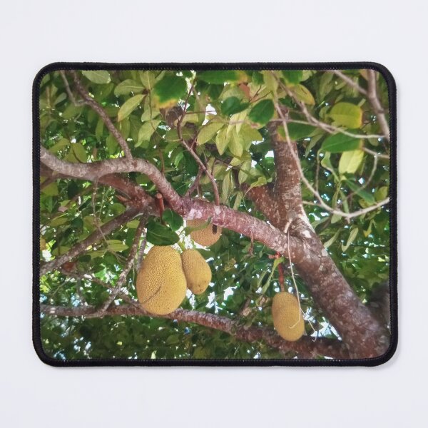 Item preview, Jackfruit Tree with Hanging Fruits designed and sold by klo4g.