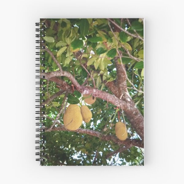 Item preview, Jackfruit Tree with Hanging Fruits designed and sold by klo4g.