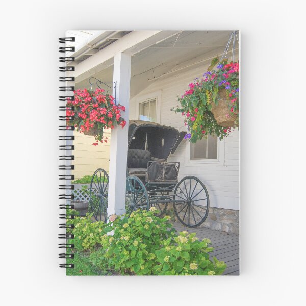 Item preview, Vintage Buggy on Mackinac Island Porch designed and sold by Catherine Sherman.