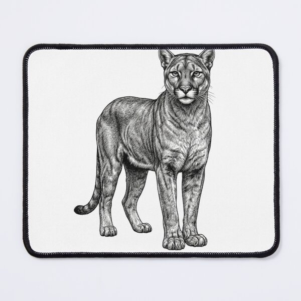 Item preview, Mountain lion - Realistic Minimalistic Black and White designed and sold by Minimalisticaly.