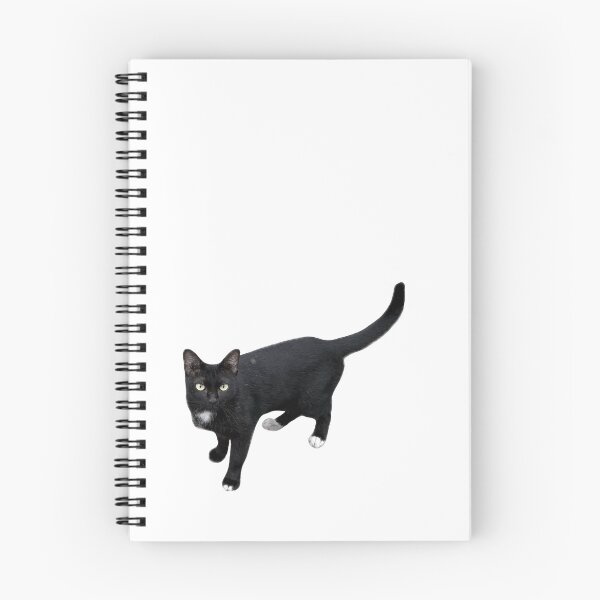 Item preview, beautiful sleek black cat standing and looking at the camera, isolated on a clean white background, perfect for pet-related designs and projects. designed and sold by pipikijung.