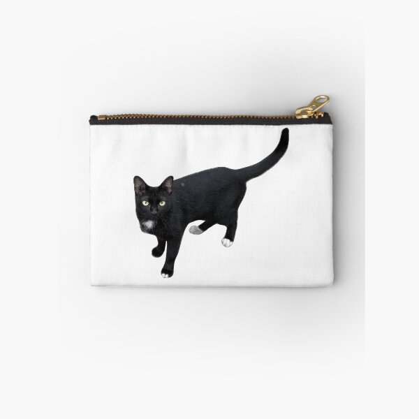 Item preview, beautiful sleek black cat standing and looking at the camera, isolated on a clean white background, perfect for pet-related designs and projects. designed and sold by pipikijung.