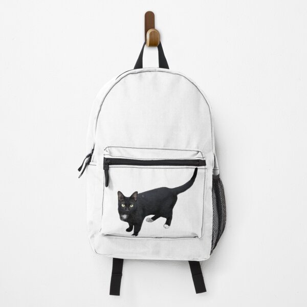 Item preview, beautiful sleek black cat standing and looking at the camera, isolated on a clean white background, perfect for pet-related designs and projects. designed and sold by pipikijung.